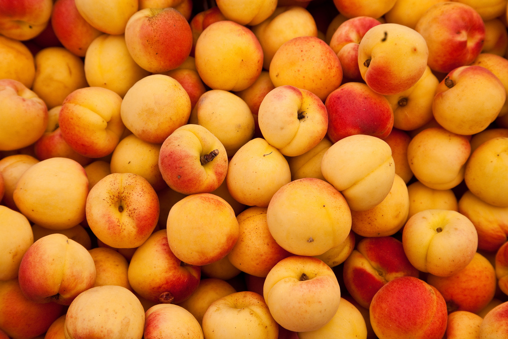 albaricoques
